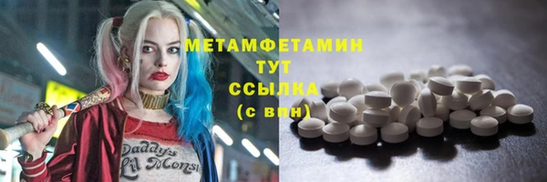 прущие грибы Верея