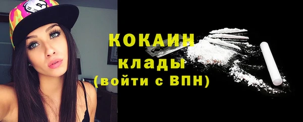 прущие грибы Верея