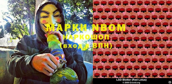 соль ск Вяземский