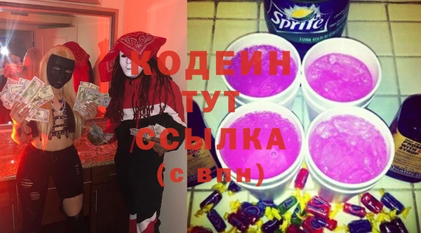 соль ск Вяземский