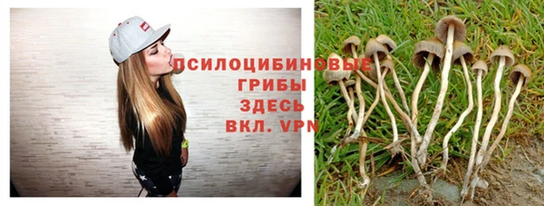 шишки Верхнеуральск