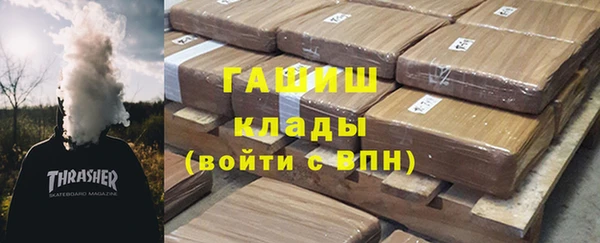 прущие грибы Верея