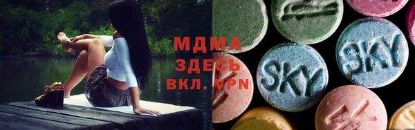 прущие грибы Верея